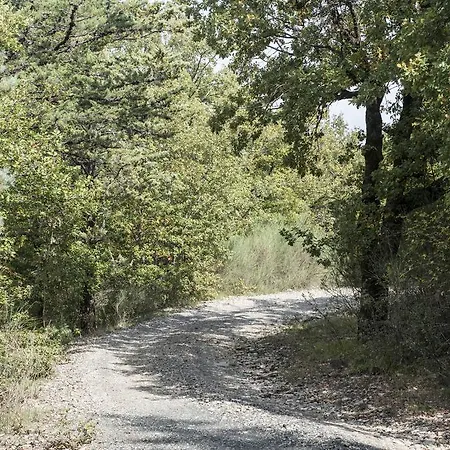 Podere Rosignano Holiday home *