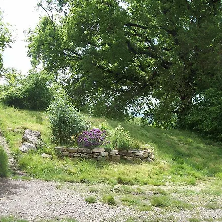 Podere Rosignano