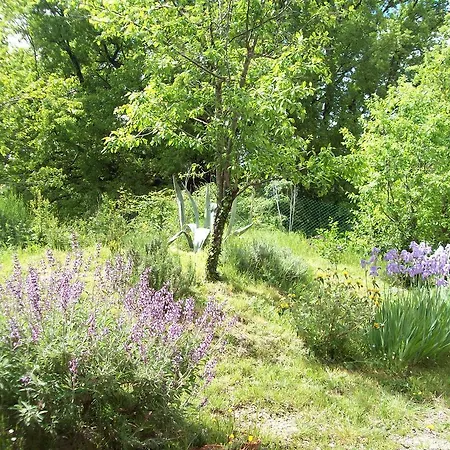 Podere Rosignano Holiday home Radicondoli